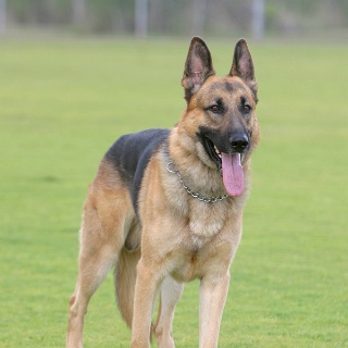 JZ IMG 5804 Argo