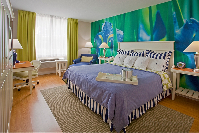SRQFL-IN-Sarasota-King-Iris_0720.jpg