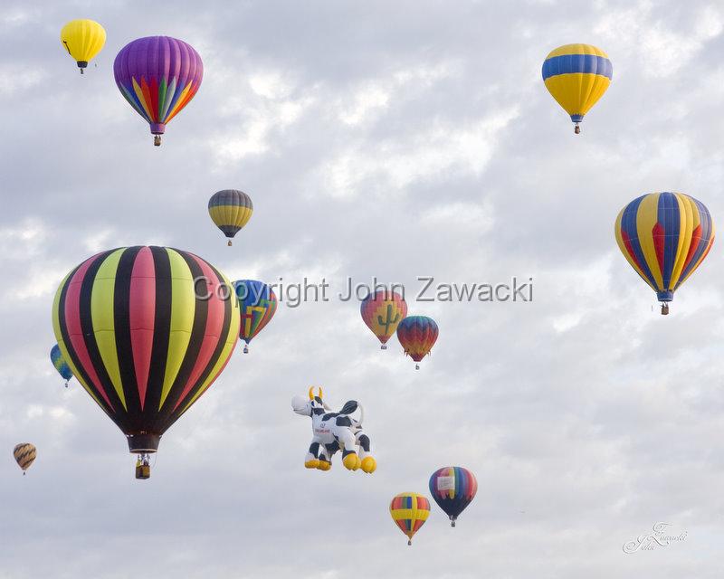 IMG_2401.jpg